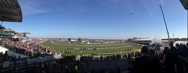 Aintree Grand National 2013