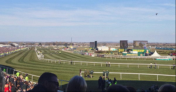 Aintree Grand National 2013