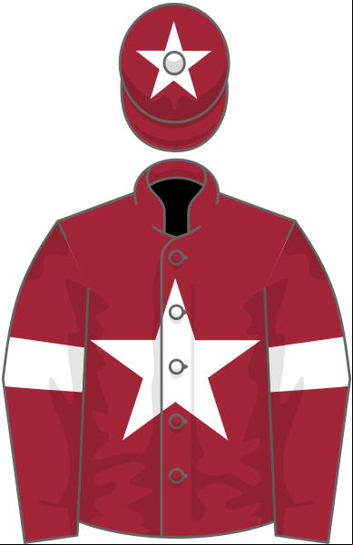 https://image.staticox.com/?url=https%3A%2F%2F.wikimedia.org%2Fwikipedia%2Fcommons%2Fthumb%2F1%2F1c%2FOwner_Gigginstown_House_Stud.svg%2F388px-Owner_Gigginstown_House_Stud.svg.png