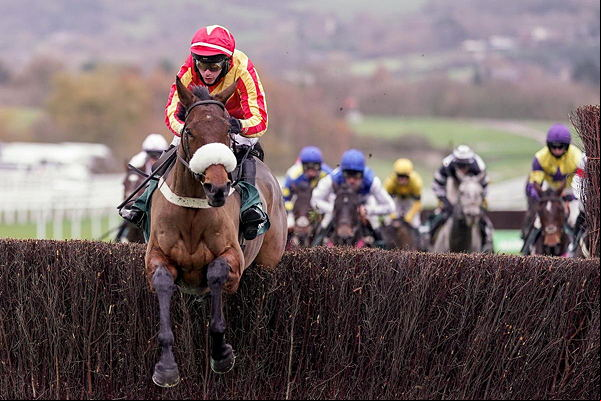 horse race