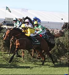 Grand National