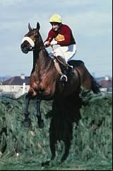 Red Rum