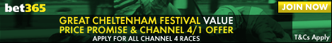 bet365 cheltenham