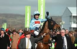 Western Warhorse