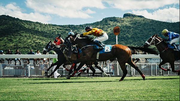 horse race