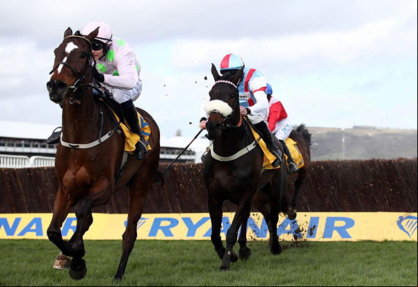 Horse Race