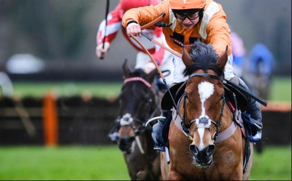 Horse race