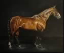Laura Barber-Riley Equine & Pet Artist