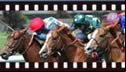 racing images