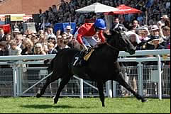 Kingsgate Native