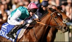 Frankel