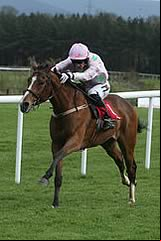 Faugheen