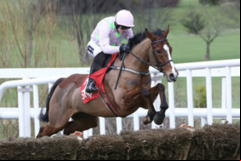 Faugheen