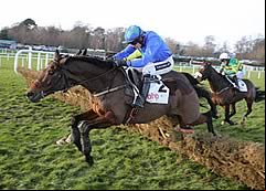Hurricane FlyHurricane Fly