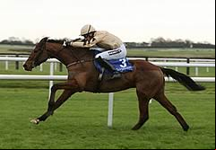 Shaneshill