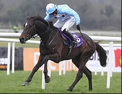 The Liquidator