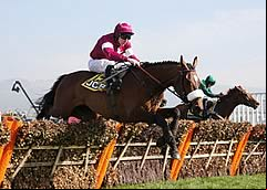 Tiger Roll 