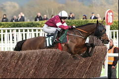 Tiger Roll