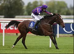 Wicklow Brave