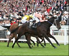 Black Caviar