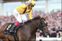 Lady Aurelia