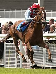 Red Cadeaux