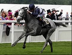 Sky Lantern