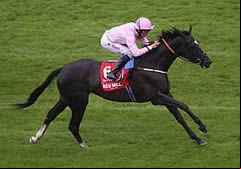 The Fugue