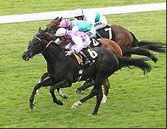 Thomas Chippendale