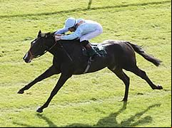Toormore