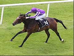 Investec Oaks