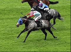 York Glory