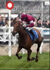 First Lieutenant 