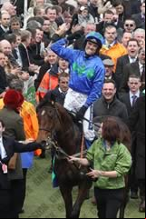 Hurricane Fly
