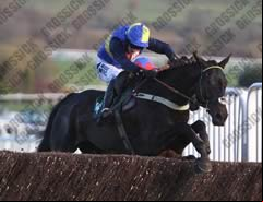 Wayward Prince