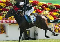 epsom
