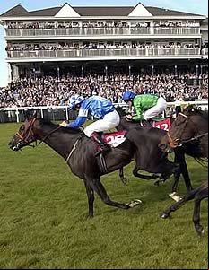 Quito winning the 2003 Ayr Gold Cup