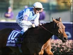 Goldikova