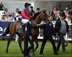 Carlton House