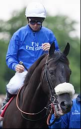 Cavalryman