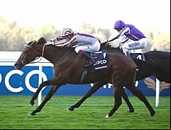 Cirrus Des Aigles