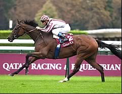 Cirrus Des Aigles