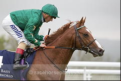 Decorated Knight
