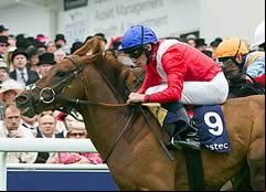 Duke Of Firenze