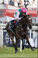 Enable
