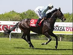 Fiorente