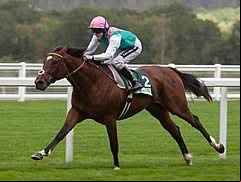 Frankel