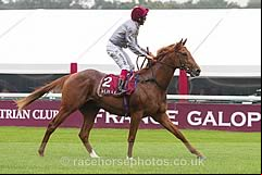 Galileo Gold