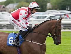 Glen's Diamond