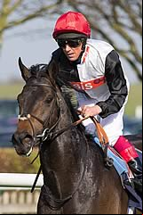 Golden Horn
